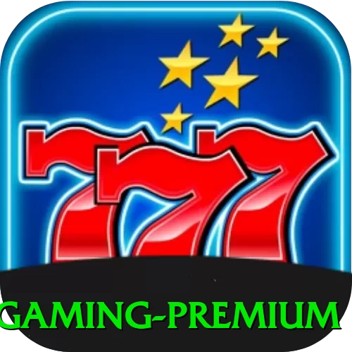 377bra Gaming Premium - vip
